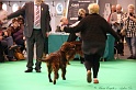 Crufts2011 402